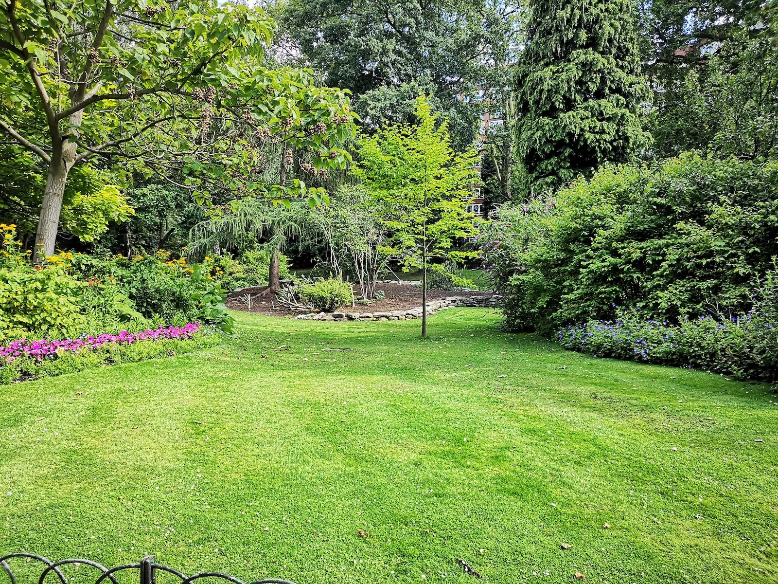 rat jardin