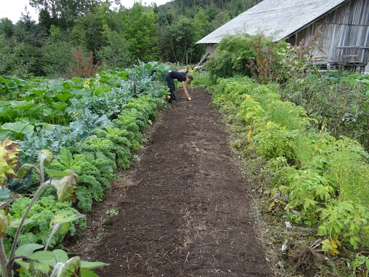creer un jardin organique
