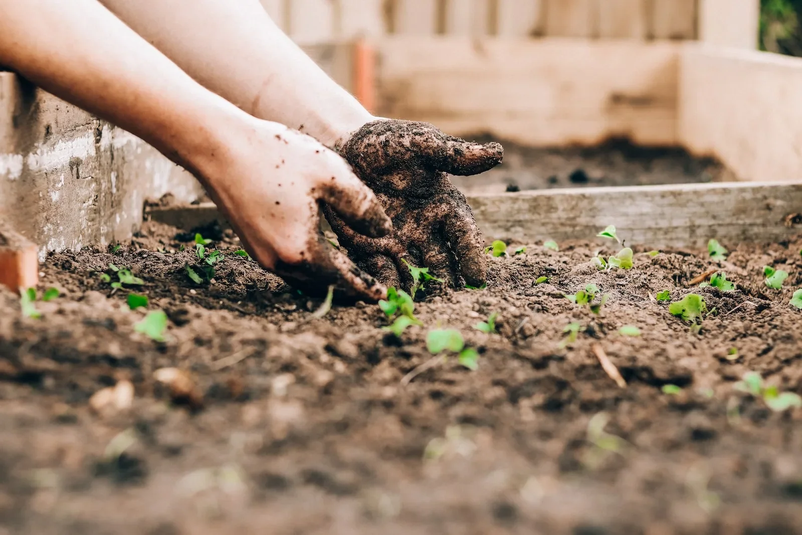 creer un jardin biologique